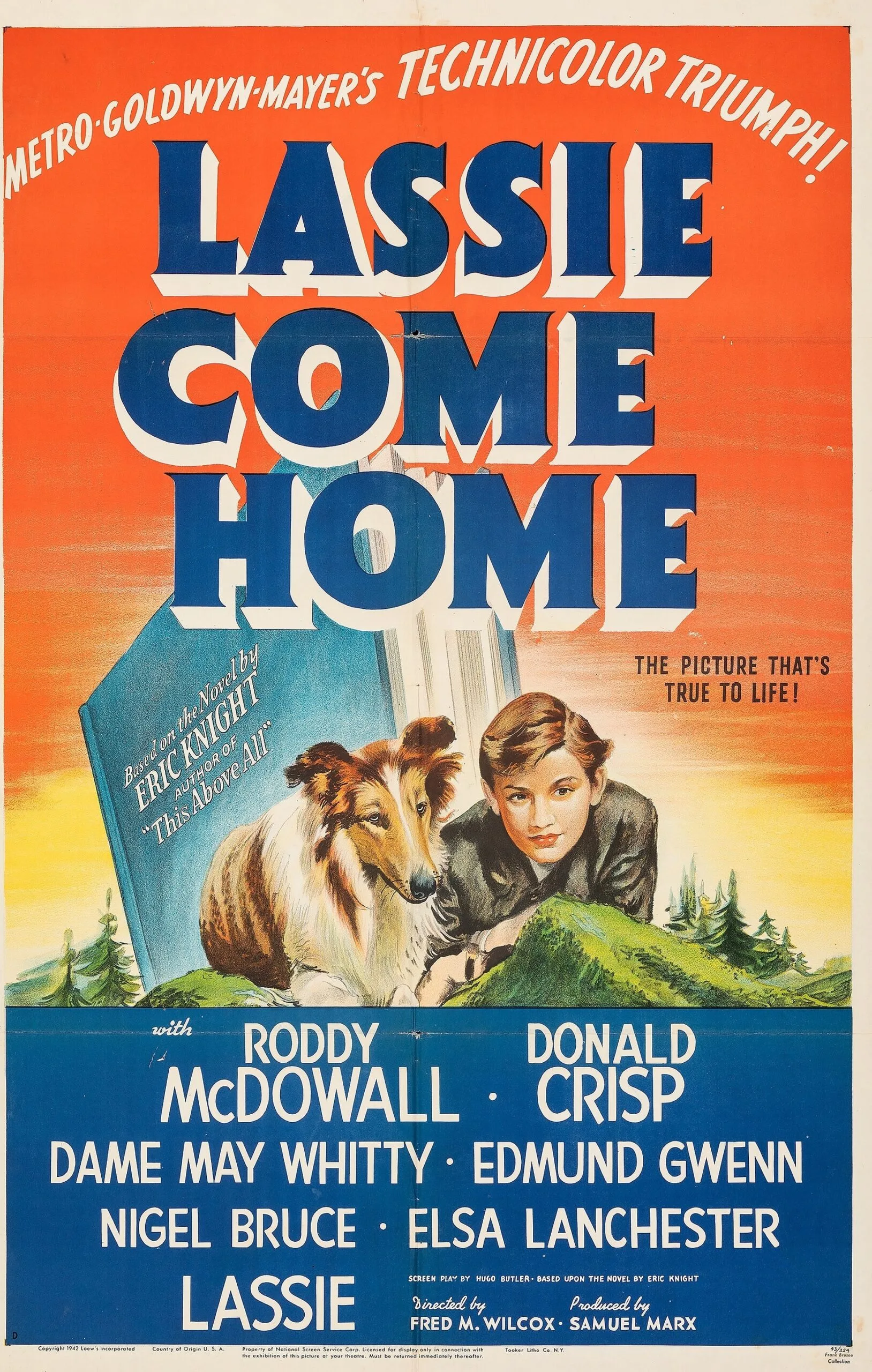 V Roddy lassie-come-home_05pu1lv7